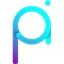 PAI Project Pai